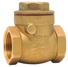 CLAPET ANTI-RETOUR A BATTANT LAITON ACS CGR