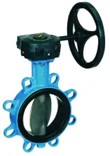 VANNE PAPILLON FONTE A DEMULTIPLICATEUR V90BMN KSB ACS