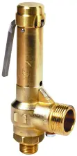 SOUPAPE DE SURETE VAPEUR LAITON/FPM/PTFE/FFKM MALE PN40 DESP
