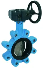 VANNE PAPILLON FONTE A DEMULTIPLICATEUR V92BMN KSB ACS