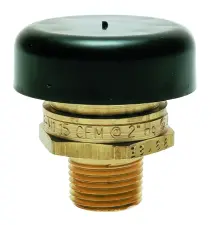 CASSE VIDE LAITON MALE