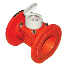 COMPTEUR WOLTMAN EAU CHAUDE A BRIDES MADDALENA 1739