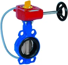 VANNE PAPILLON INCENDIE AVEC CONTACT FDC AGREE FM SOCLA