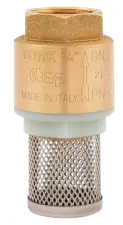 CLAPET ANTI-RETOUR CREPINE LAITON/INOX FEMELLE