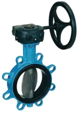 VANNE PAPILLON A OREILLES DE DEMONTAGE EPDM ET DEMULTIPLICATEUR BOAX-B EVO KSB