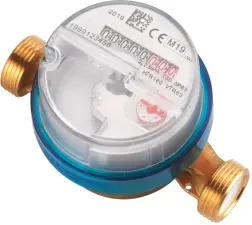 COMPTEUR DIVISIONNAIRE EAU FROIDE R160/80/63 PRE-EQUIPE RADIO-MBUS FILAIRE ACS MADDALENA
