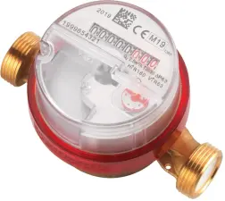 COMPTEUR DIVISIONNAIRE EAU CHAUDE R160/80/63 PRE-EQUIPE RADIO-MBUS FILAIRE ACS MADDALENA