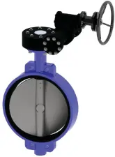 VANNE PAPILLON INOX CORPS FONTE GS A OREILLES LISSES + RM VPE4409-08 EPDM ACS PN10 TECOFI