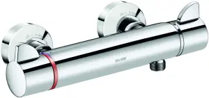 MITIGEUR THERMOSTATIQUE DOUCHE MEDICAL LAITON CHROME NF ACS DELABIE SECURITHERM SECURITOUCH H9741