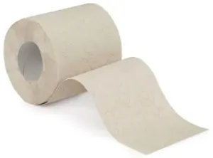 ROULEAUX PAPIER TOILETTE PAPWC ECONATURAL ECOLABEL