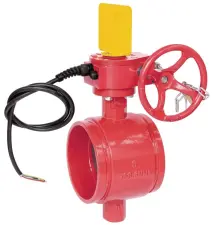 VANNE PAPILLON INCENDIE RAINUREE FONTE GS AGREMENT APSAD