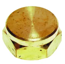 BOUCHON BUTANE PROPANE LAITON FEMELLE 20x150 NF