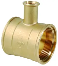 PORTE PLONGE LAITON POUR THERMOMETRE A VISSER FEMELLE