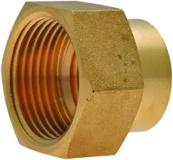 REDUCTION LAITON A VISSER FEMELLE FEMELLE CGR DYNAFLU