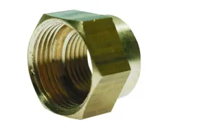 REDUCTION LAITON A VISSER FEMELLE FEMELLE DYNAFLU