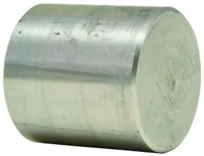 BOUCHON INOX 304L FORGE A VISSER FEMELLE NPT SERIE 3000