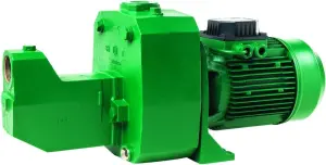 POMPE DE SURFACE BICELLULAIRE AUTO AMORCANTE JETLY
