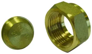 BOUCHON OBTURATEUR 2 PIECES LAITON JSC GAZ NF