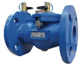 CLAPET ANTI-POLLUTION FONTE A BRIDES PN16 AVEC ROBINETS DE CONTROLE NF ACS DESP