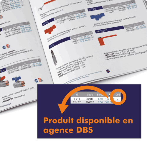 Indication catalogue produit disponible en agence DBS