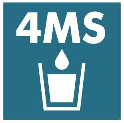 4MS