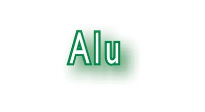 Alu_b